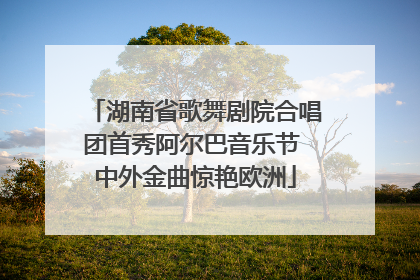湖南省歌舞剧院合唱团首秀阿尔巴音乐节 中外金曲惊艳欧洲