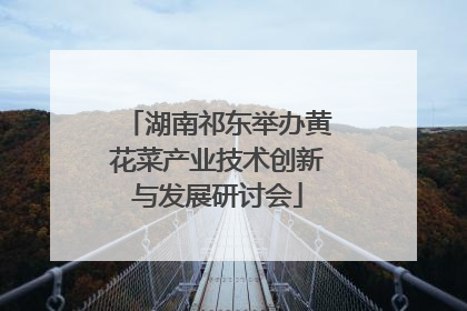 湖南祁东举办黄花菜产业技术创新与发展研讨会