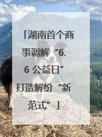 湖南首个商事调解“6.6 公益日”打造解纷“新范式”