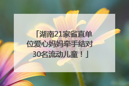 湖南21家省直单位爱心妈妈牵手结对30名流动儿童！