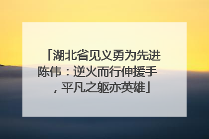 湖北省见义勇为先进陈伟：逆火而行伸援手，平凡之躯亦英雄
