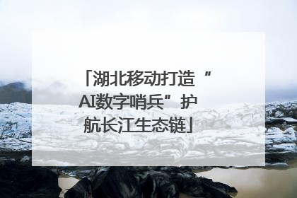 湖北移动打造“AI数字哨兵”护航长江生态链