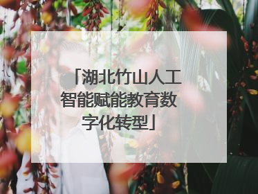 湖北竹山人工智能赋能教育数字化转型