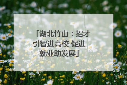 湖北竹山：招才引智进高校 促进就业助发展