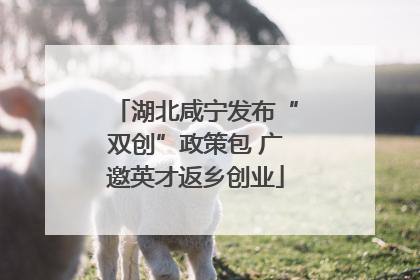 湖北咸宁发布“双创”政策包 广邀英才返乡创业