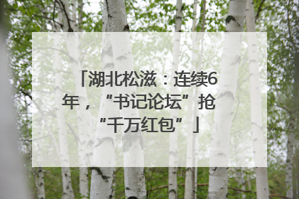 湖北松滋：连续6年，“书记论坛”抢“千万红包”