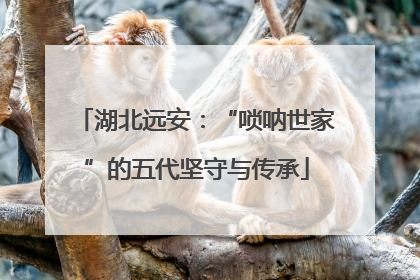 湖北远安：“唢呐世家”的五代坚守与传承