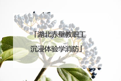 湖北赤壁教职工沉浸体验学消防