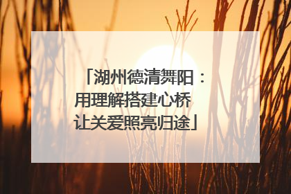 湖州德清舞阳：用理解搭建心桥 让关爱照亮归途