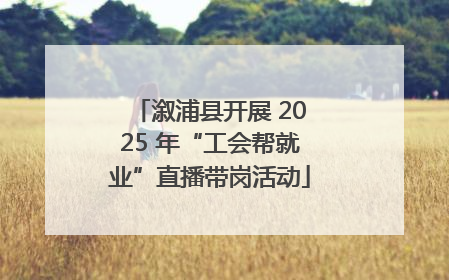 溆浦县开展 2025 年“工会帮就业”直播带岗活动