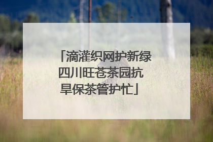 滴灌织网护新绿 四川旺苍茶园抗旱保茶管护忙