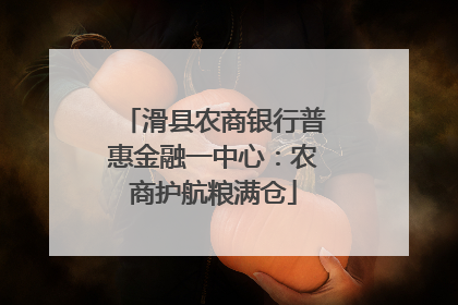 滑县农商银行普惠金融一中心：农商护航粮满仓