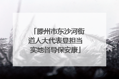 滕州市东沙河街道人大代表显担当实地督导保安康