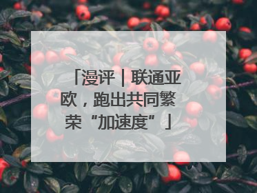 漫评｜联通亚欧，跑出共同繁荣“加速度”