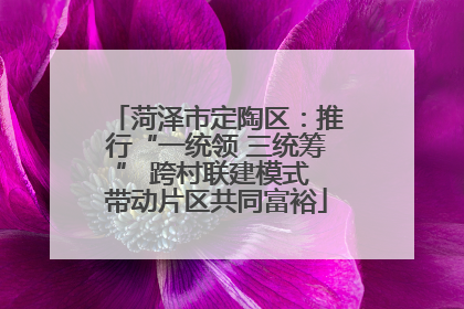 菏泽市定陶区：推行“一统领 三统筹” 跨村联建模式 带动片区共同富裕