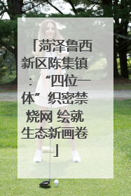 菏泽鲁西新区陈集镇：“四位一体”织密禁烧网 绘就生态新画卷