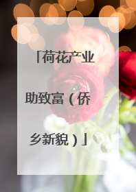 荷花产业助致富（侨乡新貌）
