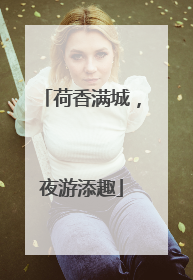 荷香满城，夜游添趣