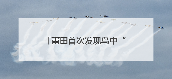 莆田首次发现鸟中“大熊猫”黄腹角雉！