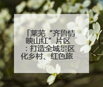 莱芜“齐鲁情 映山红”片区：打造全域景区化乡村、红色旅游新名片