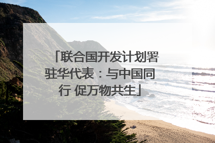 联合国开发计划署驻华代表：与中国同行 促万物共生