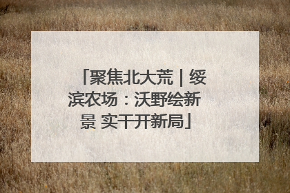聚焦北大荒｜绥滨农场：沃野绘新景 实干开新局