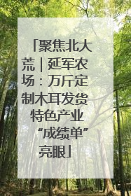 聚焦北大荒｜延军农场：万斤定制木耳发货 特色产业“成绩单”亮眼