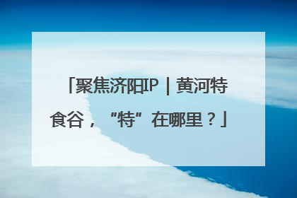 聚焦济阳IP｜黄河特食谷，“特”在哪里？