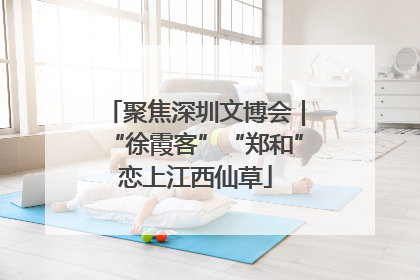 聚焦深圳文博会｜“徐霞客”“郑和”恋上江西仙草