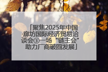 聚焦2025年中国·廊坊国际经济贸易洽谈会③一场“链主会” 助力厂商破圈发展