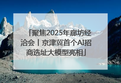 聚焦2025年廊坊经洽会丨京津冀首个AI招商选址大模型亮相