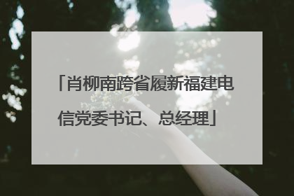 肖柳南跨省履新福建电信党委书记、总经理