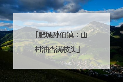 肥城孙伯镇：山村油杏满枝头