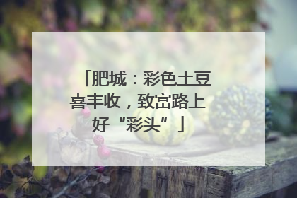 肥城：彩色土豆喜丰收，致富路上好“彩头”