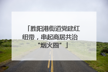 胜阳港街道党建红纽带，串起商居共治 “烟火圈”