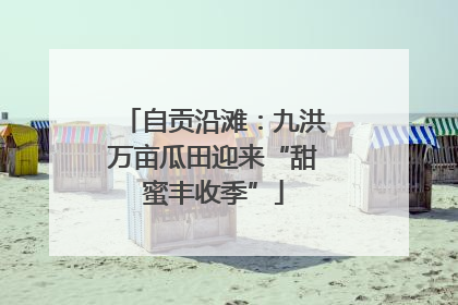 自贡沿滩：九洪万亩瓜田迎来“甜蜜丰收季”