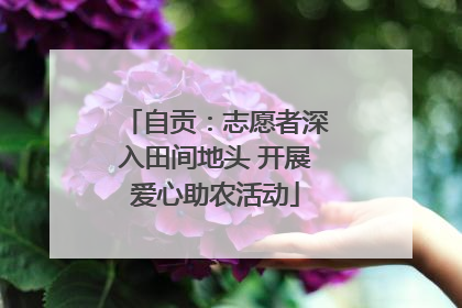 自贡：志愿者深入田间地头 开展爱心助农活动