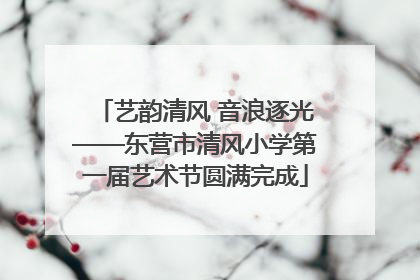 艺韵清风 音浪逐光——东营市清风小学第一届艺术节圆满完成