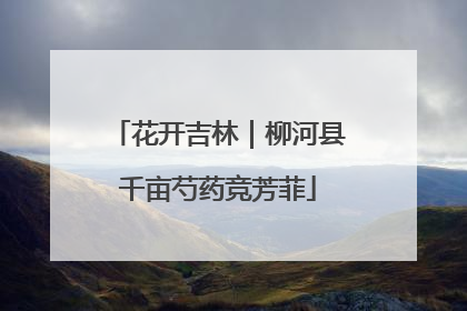 花开吉林｜柳河县千亩芍药竞芳菲