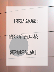 花语冰城：哈尔滨五月花海绚烂绽放