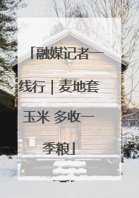 融媒记者一线行｜麦地套玉米 多收一季粮