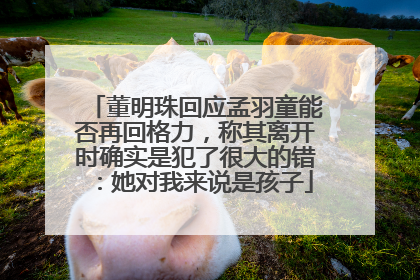 董明珠回应孟羽童能否再回格力，称其离开时确实是犯了很大的错：她对我来说是孩子
