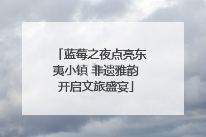蓝莓之夜点亮东夷小镇 非遗雅韵开启文旅盛宴