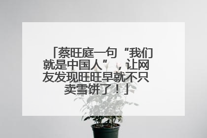 蔡旺庭一句“我们就是中国人”，让网友发现旺旺早就不只卖雪饼了！