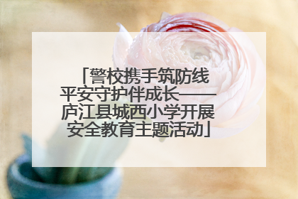 警校携手筑防线 平安守护伴成长——庐江县城西小学开展安全教育主题活动