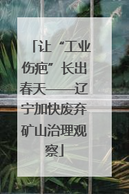 让“工业伤疤”长出春天——辽宁加快废弃矿山治理观察