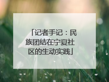 记者手记：民族团结在宁夏社区的生动实践