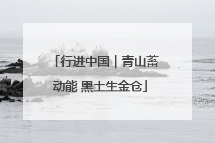 行进中国｜青山蓄动能 黑土生金仓