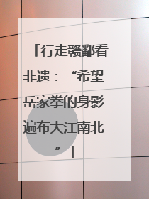 行走赣鄱看非遗：“希望岳家拳的身影遍布大江南北”