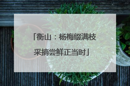 衡山：杨梅缀满枝 采摘尝鲜正当时